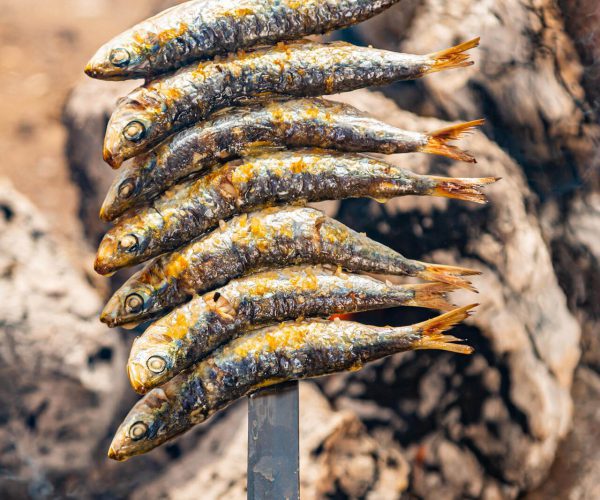 Espetos de Sardinas en Málaga: Un Delicioso Placer